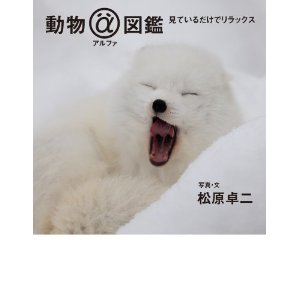 「ハムケツ」に「猫の肉球」「手つなぎラッコ」も！ 動物“部分”写真集が人気