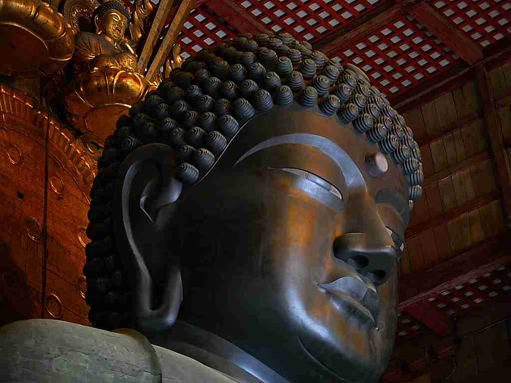 あらゆる物のアップの画像を貼るトピ！