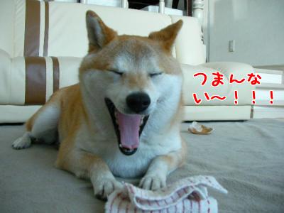 コメントのレスに使える画像貼っていきませんか?♡