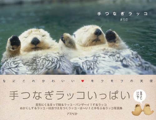 「ハムケツ」に「猫の肉球」「手つなぎラッコ」も！ 動物“部分”写真集が人気
