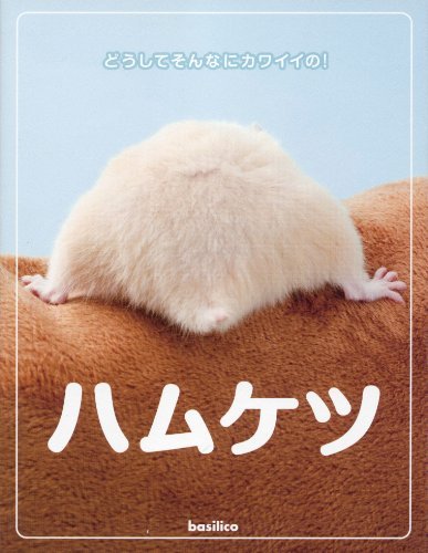 「ハムケツ」に「猫の肉球」「手つなぎラッコ」も！ 動物“部分”写真集が人気 | ダ・ヴィンチニュース