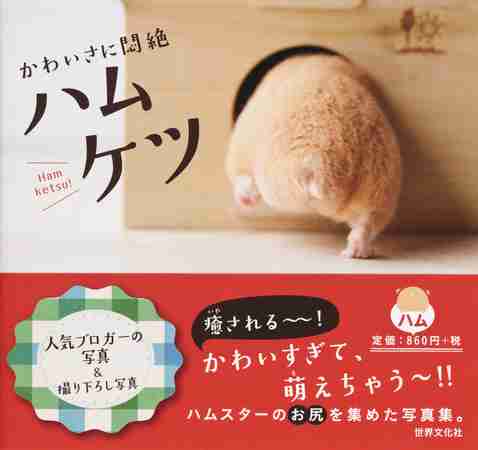「ハムケツ」に「猫の肉球」「手つなぎラッコ」も！ 動物“部分”写真集が人気
