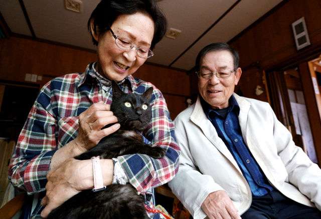 震災で行方不明となっていたネコ、生きていた!3年2か月ぶりに飼い主と再会