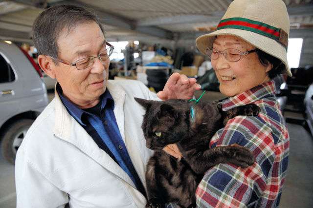 震災で行方不明となっていたネコ、生きていた!3年2か月ぶりに飼い主と再会