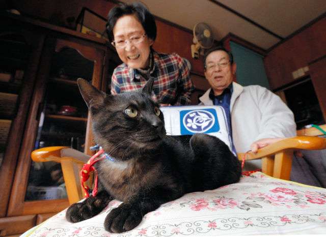 震災で行方不明となっていたネコ、生きていた!3年2か月ぶりに飼い主と再会