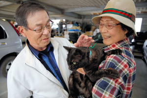 震災で不明のネコ、生きていた　飼い主と再会　岩手：朝日新聞デジタル