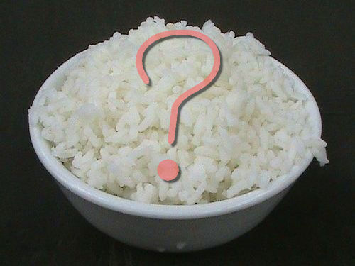 欧米人「今日、炊飯器を買いに行こうと思った…」理由がよくわかる1枚www