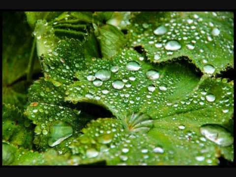 Frédéric Chopin's "Raindrop" Prelude, Op 28, No. 15 - YouTube