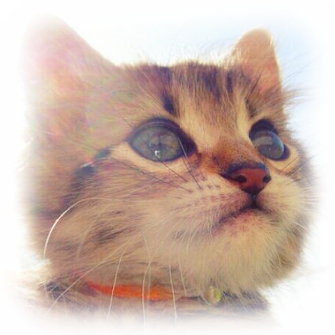 あらゆる物のアップの画像を貼るトピ！