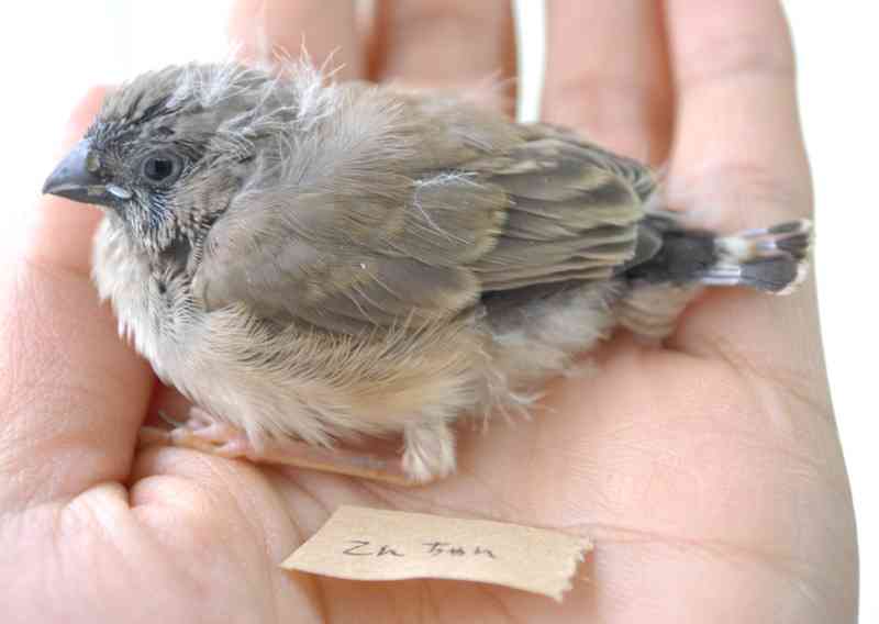 あらゆる物のアップの画像を貼るトピ！