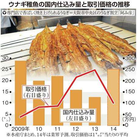 ウナギ高騰一転、一斉値下げ　稚魚豊漁　国内仕込み量倍増  (1/4ページ) - SankeiBiz（サンケイビズ）