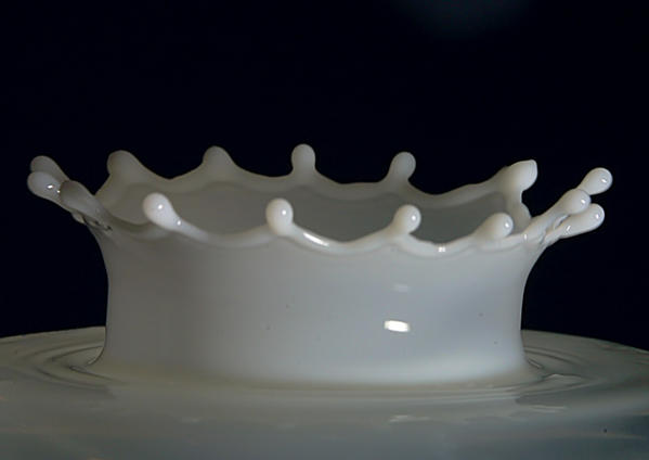 あらゆる物のアップの画像を貼るトピ！