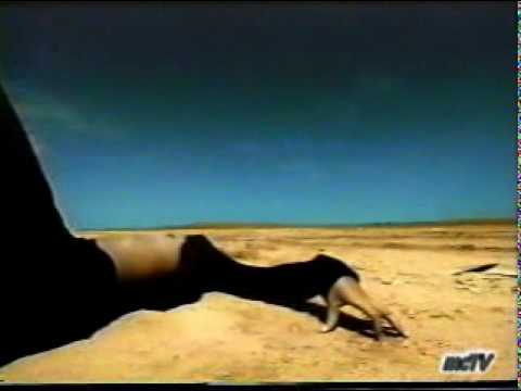 Tina Tears Rain - YouTube