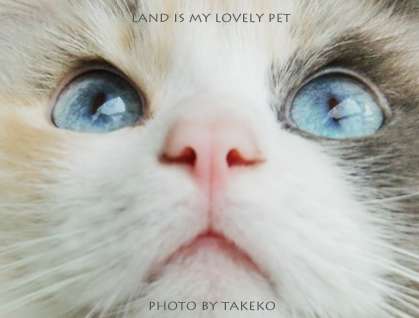 あらゆる物のアップの画像を貼るトピ！