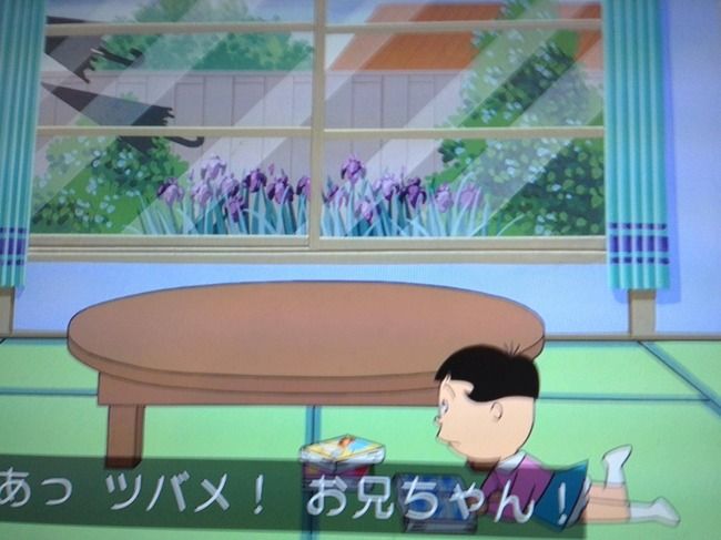『サザエさん』でツバメが飛ぶシーンで何故か「傘」が飛んでいると話題に