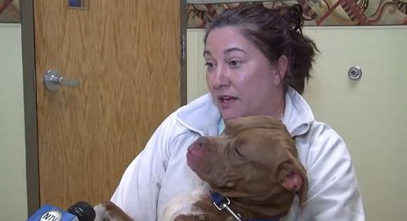 「耳が聴こえない犬とコミュニケーションを取るために手話を教えた女性」のストーリーに涙! そして感動の結末を迎えることに