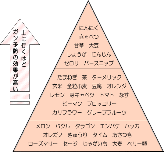 デザイナーフーズ・ピラミッド　|　生活習慣病と活性酸素