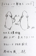 小保方氏の実験ノート、代理人が一部を公開 （朝日新聞デジタル） - Yahoo!ニュース