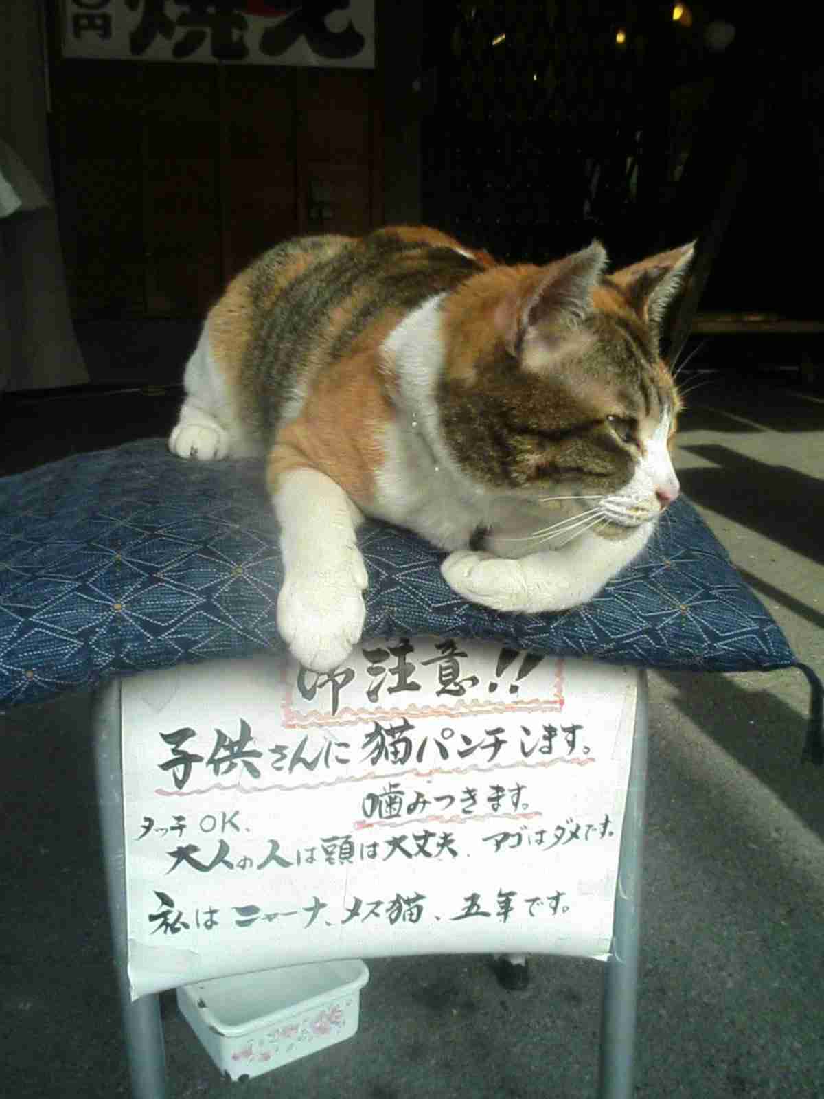 おもしろい標語やポスターを教えてください!