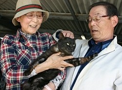 大震災３年：不明の愛猫戻る　首輪の電話番号が絆に　岩手 - 毎日新聞