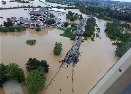 ボスニア・ヘルツェゴビナでの犬と猫の画像が泣けると話題に