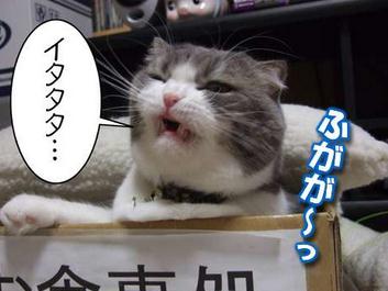 口内炎よくできる人