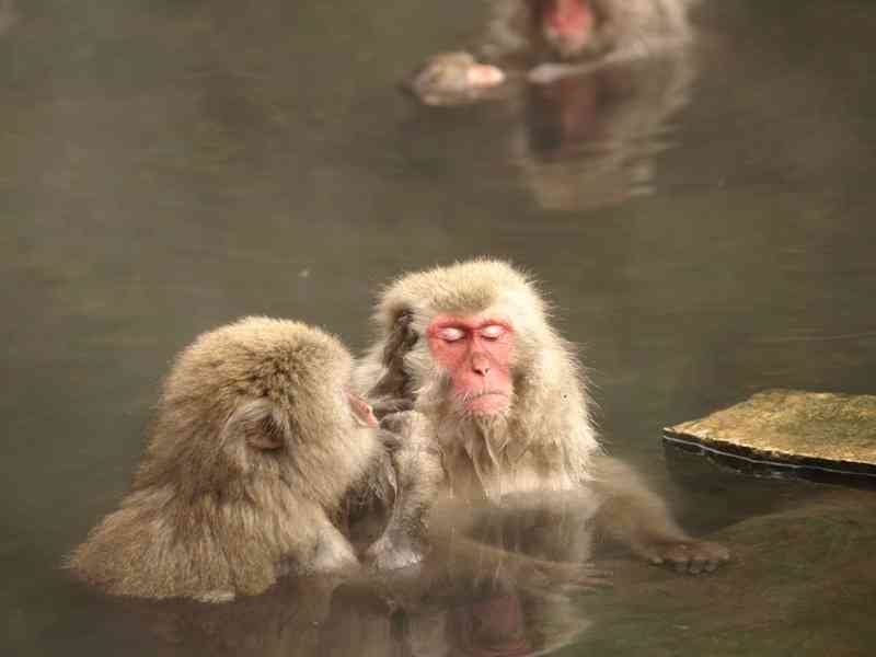 ガルちゃんで画像(サイト)を貼り付ける方法＆練習Part3