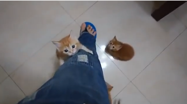 ガルちゃんで画像(サイト)を貼り付ける方法＆練習Part3