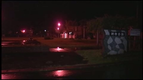 「野球場のマウンドにネコの頭部、北海道・留萌市」　News i - TBSの動画ニュースサイト