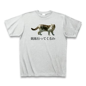 レース中馬群の前に猫飛び出す／大井競馬