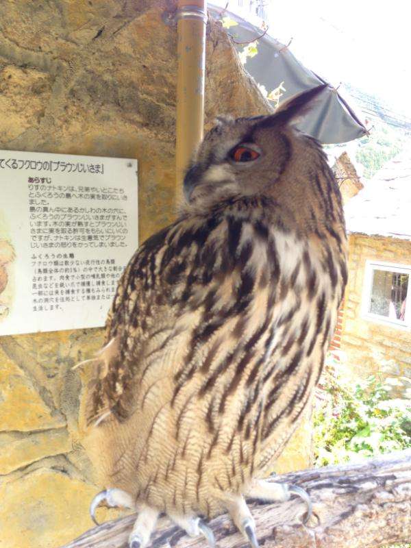 ガルちゃんで画像(サイト)を貼り付ける方法＆練習Part3