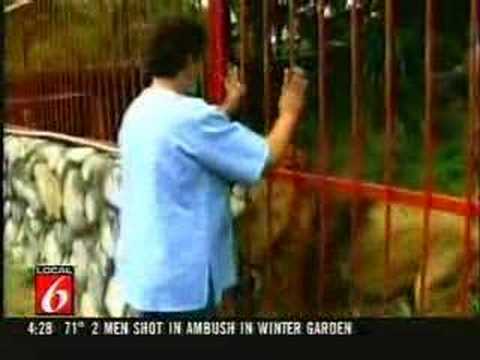 Woman Lion Injured Forest Columbia - YouTube
