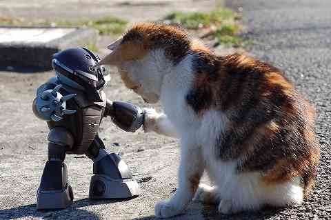 ガルちゃんで画像(サイト)を貼り付ける方法＆練習Part3