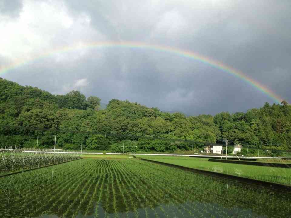 キレイに撮れた写メを貼りあうトピ♪