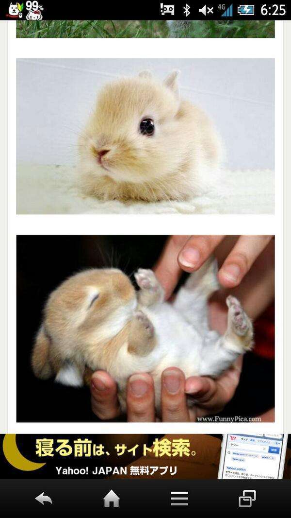 ガルちゃんで画像(サイト)を貼り付ける方法＆練習Part3