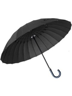 史上最悪エルニーニョ発生で「殺人豪雨」が列島を襲う!? | 日刊大衆-WEB版-