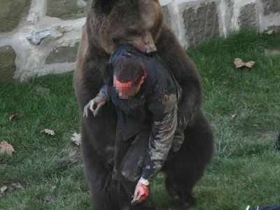 クマがいる柵の中に飛びこんだ男性が襲われている様子が撮影される - GIGAZINE
