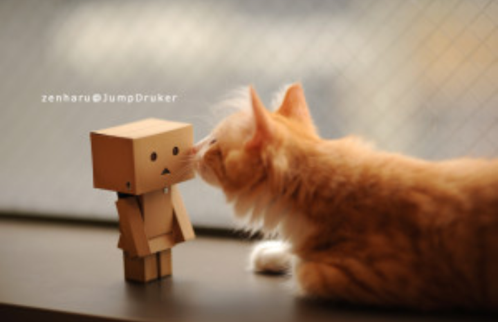 ガルちゃんで画像(サイト)を貼り付ける方法＆練習Part3