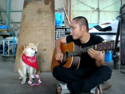 Russian song with Tambourine dog - YouTube