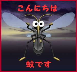 蚊対策