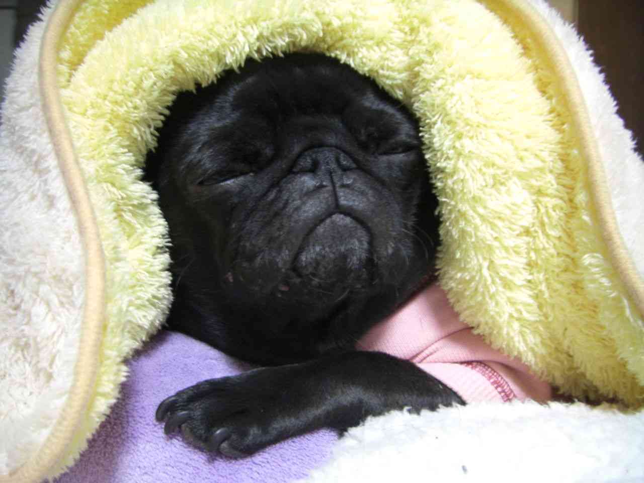 ガルちゃんで画像(サイト)を貼り付ける方法＆練習Part3