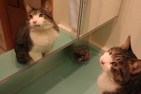 【下ネタ注意】交際1ヶ月の彼氏が実は彼女に聞きたいエッチな疑問・4つ