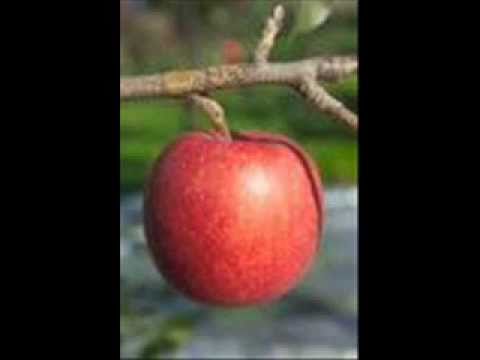りんごの唄　並木路子 - YouTube
