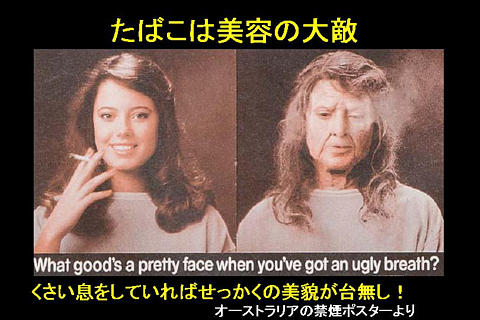 禁煙で肺がん増加？「たばこ以外の肺がんになる要因を追究すべき」と識者