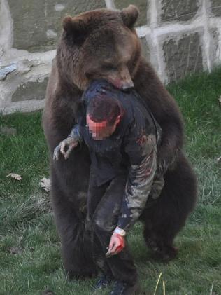 秋田新幹線、線路内のクマとぶつかり52分遅れ。クマは逃亡