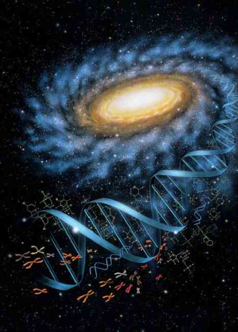 ガルちゃんで画像(サイト)を貼り付ける方法＆練習Part3