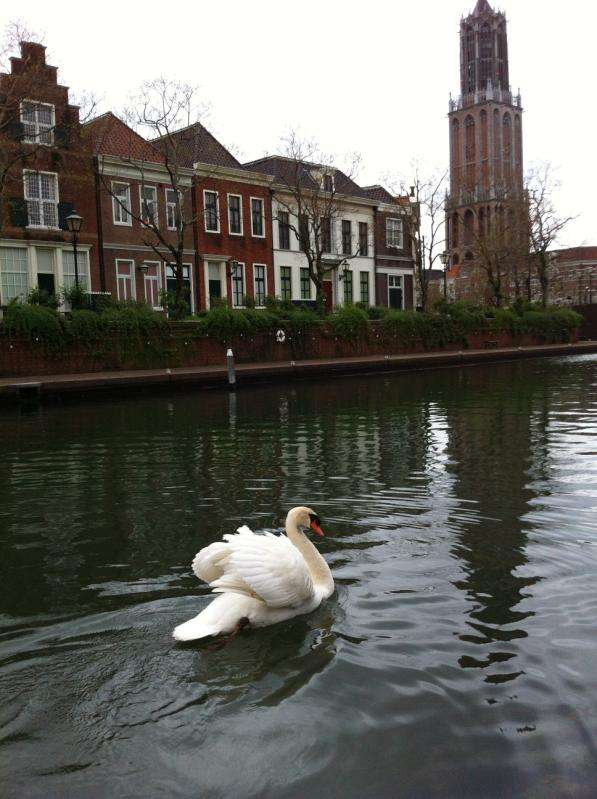 ガルちゃんで画像(サイト)を貼り付ける方法＆練習Part3