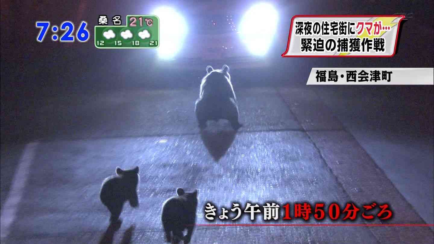 秋田新幹線、線路内のクマとぶつかり52分遅れ。クマは逃亡