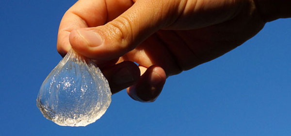 持ち帰り不可能、現地でしか食べられない! 水晶のような「水信玄餅」がツイッターで突如ブームに