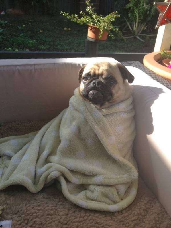 ガルちゃんで画像(サイト)を貼り付ける方法＆練習Part3